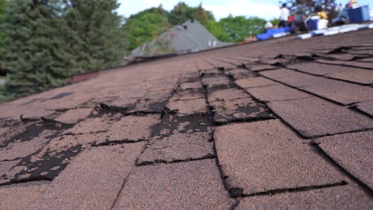 Best Storm Damage Roof Repair  in Jamesport, NY